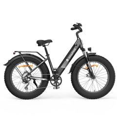 isinwheel M60 750W All-terrain Electric Bike