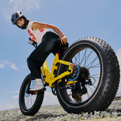 CYCrown | Roma All-Terrain Ebike