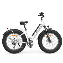 isinwheel M60 750W All-terrain Electric Bike