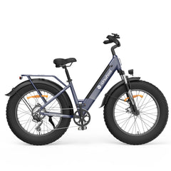 isinwheel M60 750W All-terrain Electric Bike