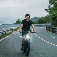 CYCrown | CycVerve Fat Tire Ebike