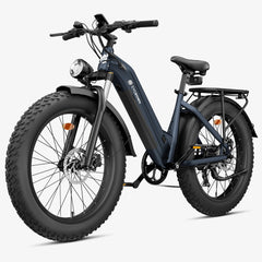 CYCrown | CycVerve Fat Tire Ebike