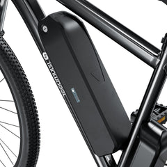 isinwheel M10 Electric Bike