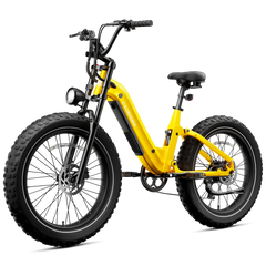 CYCrown | Roma All-Terrain Ebike