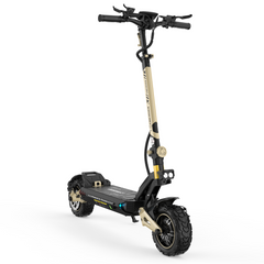 Circooter | Cruiser Pro Dual Motor Off-Road Electric Scooter