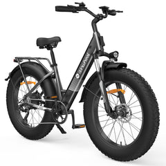 isinwheel M60 750W All-terrain Electric Bike
