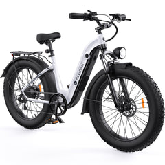 isinwheel U8 Plus Electric Bike for Adults