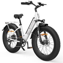isinwheel M60 750W All-terrain Electric Bike