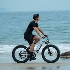 CYCrown | CycVerve Fat Tire Ebike
