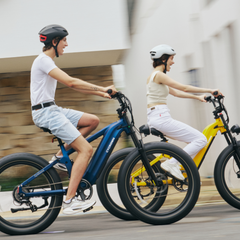 CYCrown | Roma All-Terrain Ebike