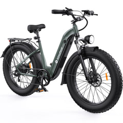 isinwheel U8 Ultra Electric Bike for Adults