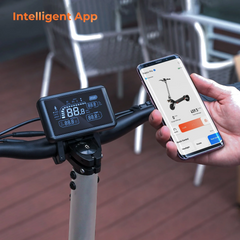 iScooter | R3 Pro 1600W Dual Motors Off Road Electric Scooter