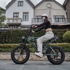 CYCrown | CycHunter Moped-Style Ebike