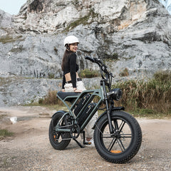 CYCrown | CycHunter Moped-Style E-Bike