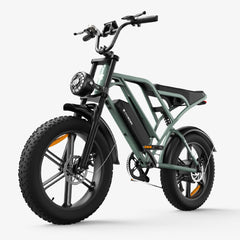 CYCrown | CycHunter Moped-Style Ebike