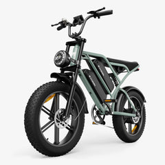 CYCrown | CycHunter Moped-Style Ebike