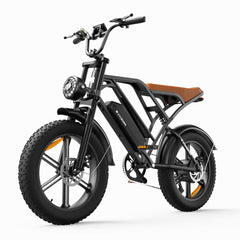 CYCrown | CycHunter Moped-Style Ebike