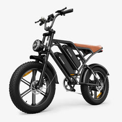 CYCrown | CycHunter Moped-Style Ebike