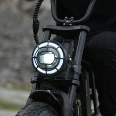 CYCrown | CycHunter Moped-Style E-Bike