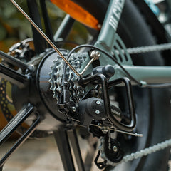 CYCrown | CycHunter Moped-Style Ebike