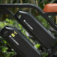CYCrown | CycHunter Moped-Style Ebike