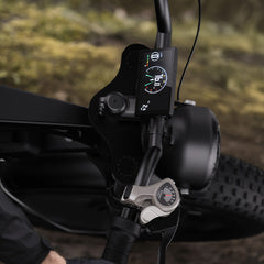 CYCrown | CycHunter Moped-Style E-Bike