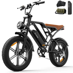 CYCrown | CycHunter Moped-Style E-Bike