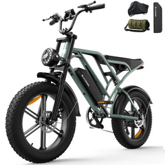 CYCrown | CycHunter Moped-Style E-Bike