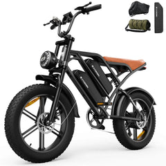 CYCrown | CycHunter Moped-Style E-Bike