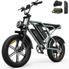 CYCrown | CycHunter Moped-Style E-Bike