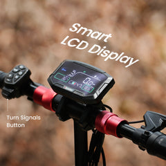 iScooter | iX8 Off-Road Electric Scooter for Adults 2400W Dual Motor