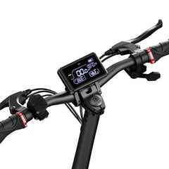 Circooter | Raptor Motor Off-Road Electric Scooter