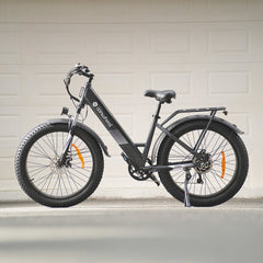 isinwheel M60 750W All-terrain Electric Bike