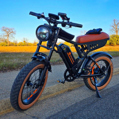 isinwheel R6 1000W Retro Electric Bike