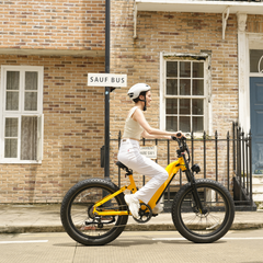 CYCrown | Roma All-Terrain Ebike