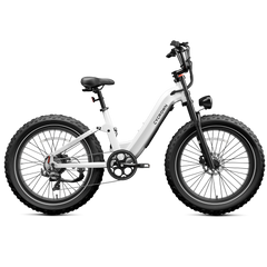 CYCrown | Roma All-Terrain Ebike