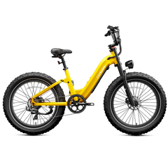 CYCrown | Roma All-Terrain Ebike