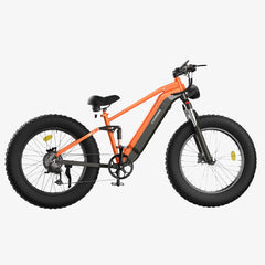 CYCrown | CycUltra All-terrain Ebike