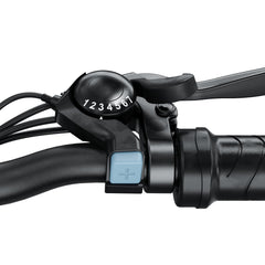 isinwheel M10 Electric Bike