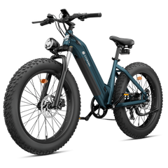 CYCrown | CycVerve Fat Tire Ebike