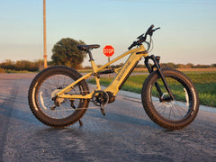 Velowave | Brawny XM MTB Mountain Electric Bike