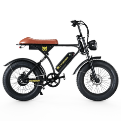 CYCrown | CycRun Vintage Moped Ebike