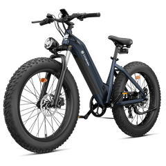 CYCrown | CycVerve Fat Tire Ebike