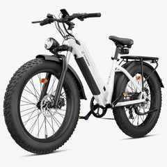 CYCrown | CycVerve Fat Tire Ebike