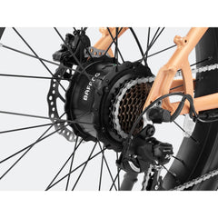 Velowave | Rover Step-Thru Electric Bike