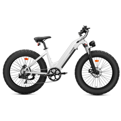 CYCrown | CycVerve Fat Tire Ebike