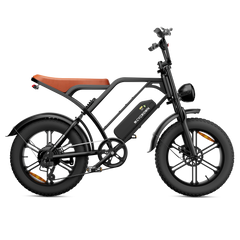 CYCrown | CycHunter Moped-Style Ebike