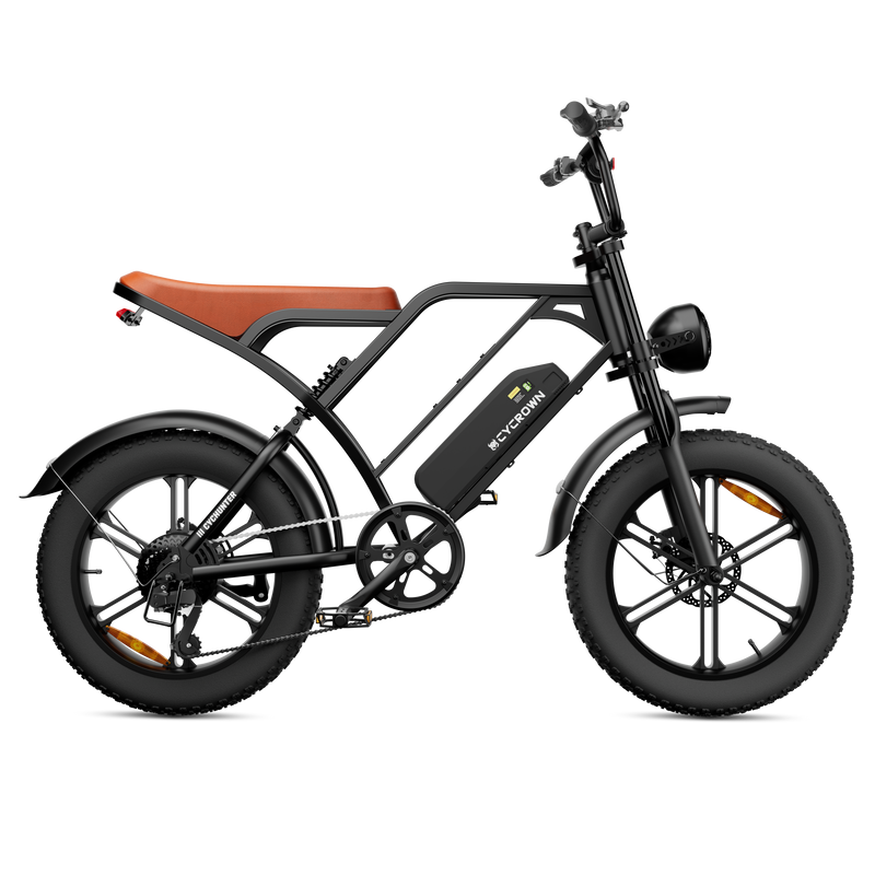 CYCrown | CycHunter Moped-Style Ebike