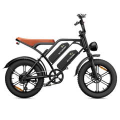 CYCrown | CycHunter Moped-Style Ebike