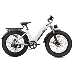 CYCrown | CycVerve Fat Tire Ebike
